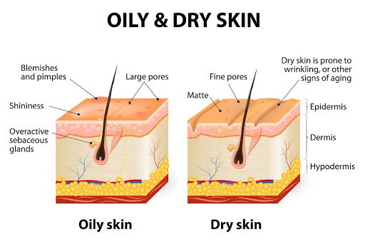 oily and dry skin