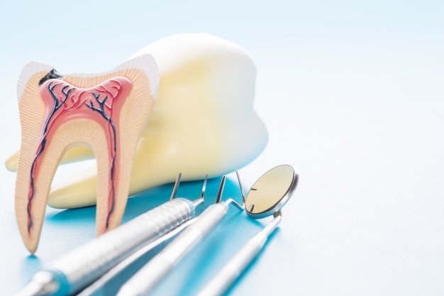 You are currently viewing Importance of Root Canal Treatment